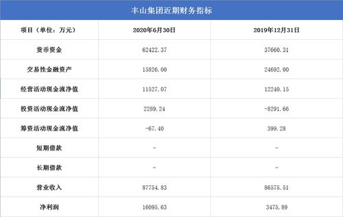 豐山集團(tuán)投資回報(bào)高,熱衷高風(fēng)險(xiǎn)理財(cái)產(chǎn)品