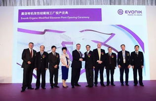 數(shù)千萬歐元投資驅(qū)動(dòng)新工廠投產(chǎn)，贏創(chuàng)以資產(chǎn)管理策略鞏固有機(jī)硅表面活性劑全球領(lǐng)先地位